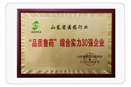 “品質魯藥”綜合實力30強企業